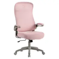 Picture of ONEX SKYFLEX Mesh Office/Gaming Chair/ ONEX-SKYFLEX-PK